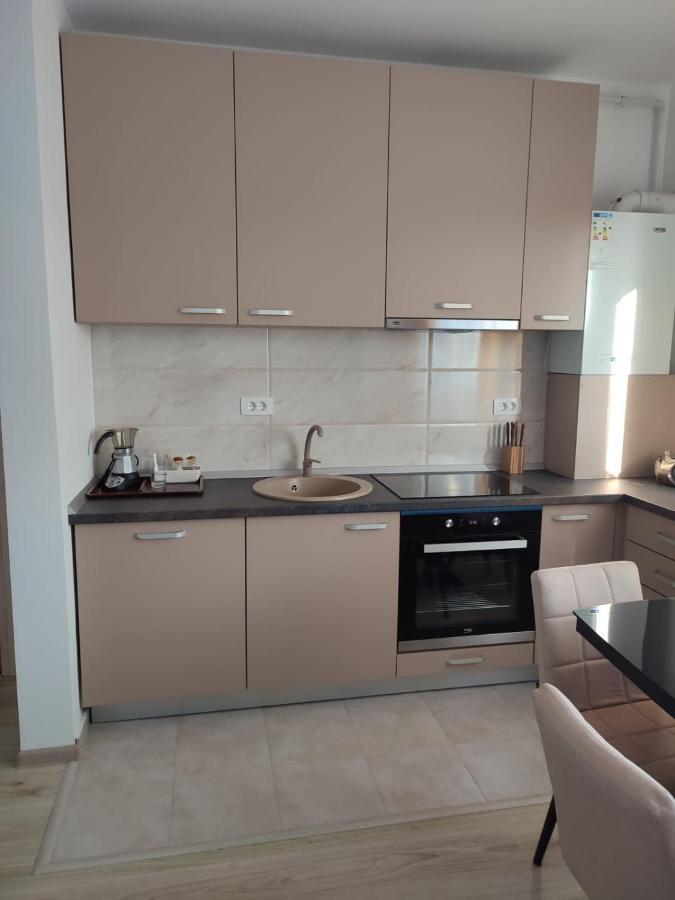 Marina'S House Apartment Ghimbav Exterior photo